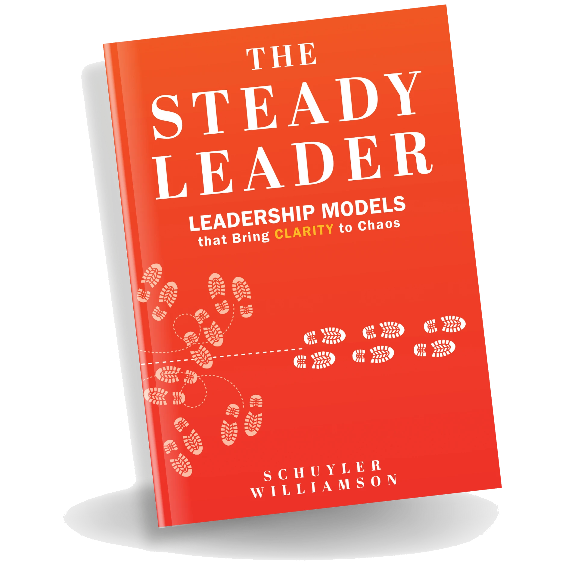 The Steady Leader book cover by Schuyler Williamson